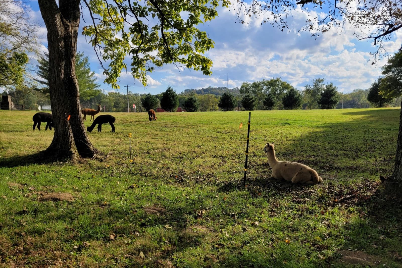 Kentucky